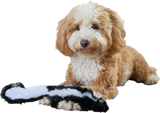 Skinneeez Skunk 14 Inch Stuffing-Free Plush Squeaky Dog Toy – Soft Tug-Of-War Toy for Small and Medium Dogs – Mess-Free Interactive Chew Toy