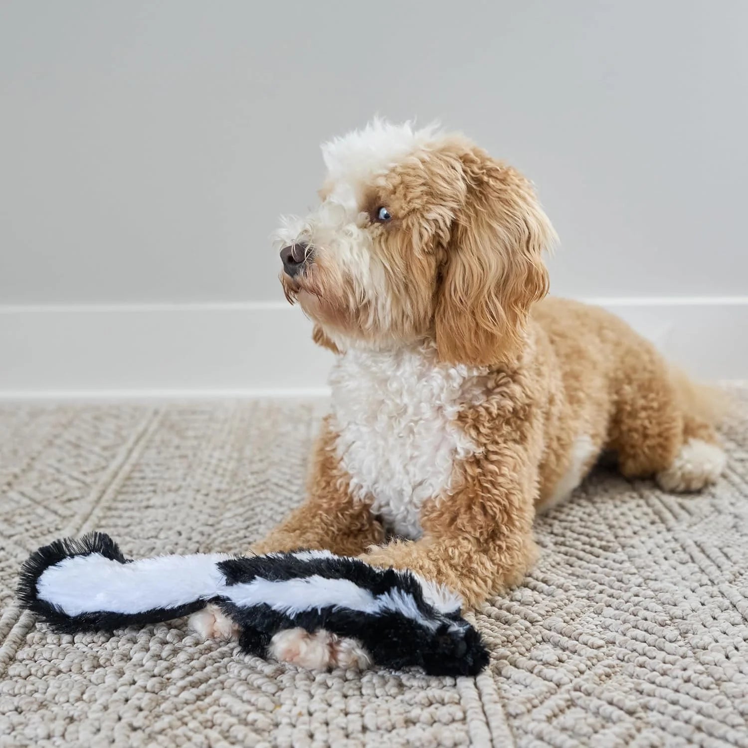 Skinneeez Skunk 14 Inch Stuffing-Free Plush Squeaky Dog Toy – Soft Tug-Of-War Toy for Small and Medium Dogs – Mess-Free Interactive Chew Toy