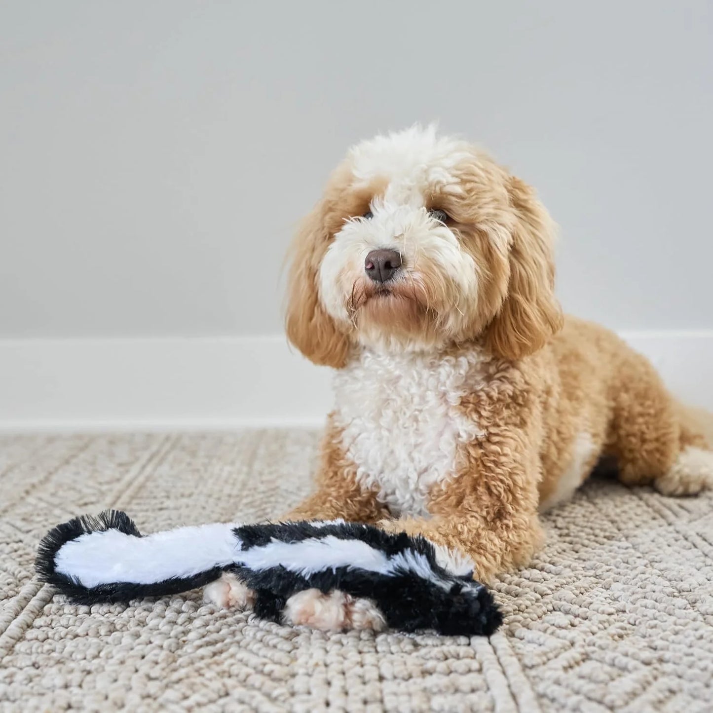 Skinneeez Skunk 14 Inch Stuffing-Free Plush Squeaky Dog Toy – Soft Tug-Of-War Toy for Small and Medium Dogs – Mess-Free Interactive Chew Toy