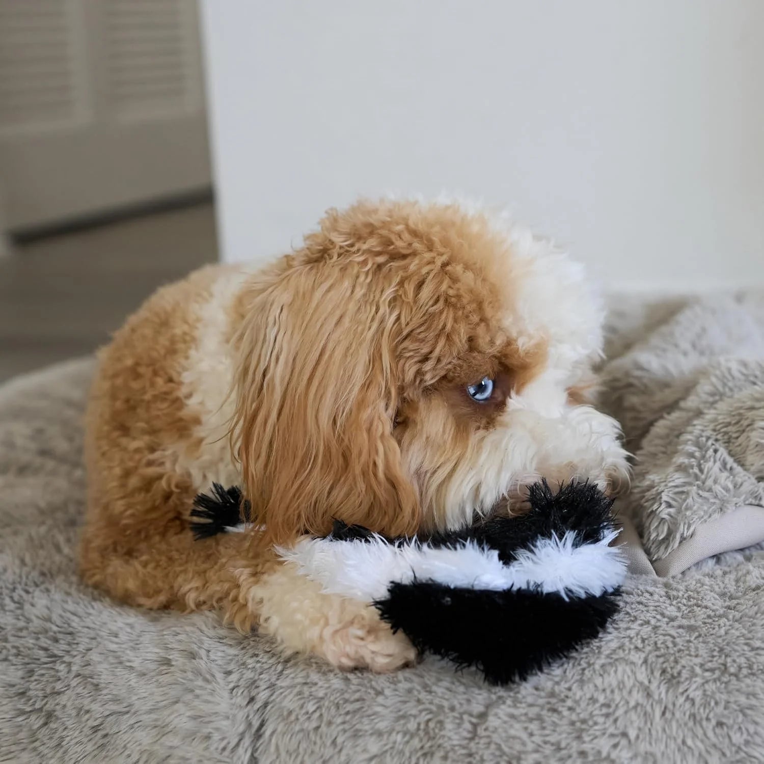 Skinneeez Skunk 14 Inch Stuffing-Free Plush Squeaky Dog Toy – Soft Tug-Of-War Toy for Small and Medium Dogs – Mess-Free Interactive Chew Toy