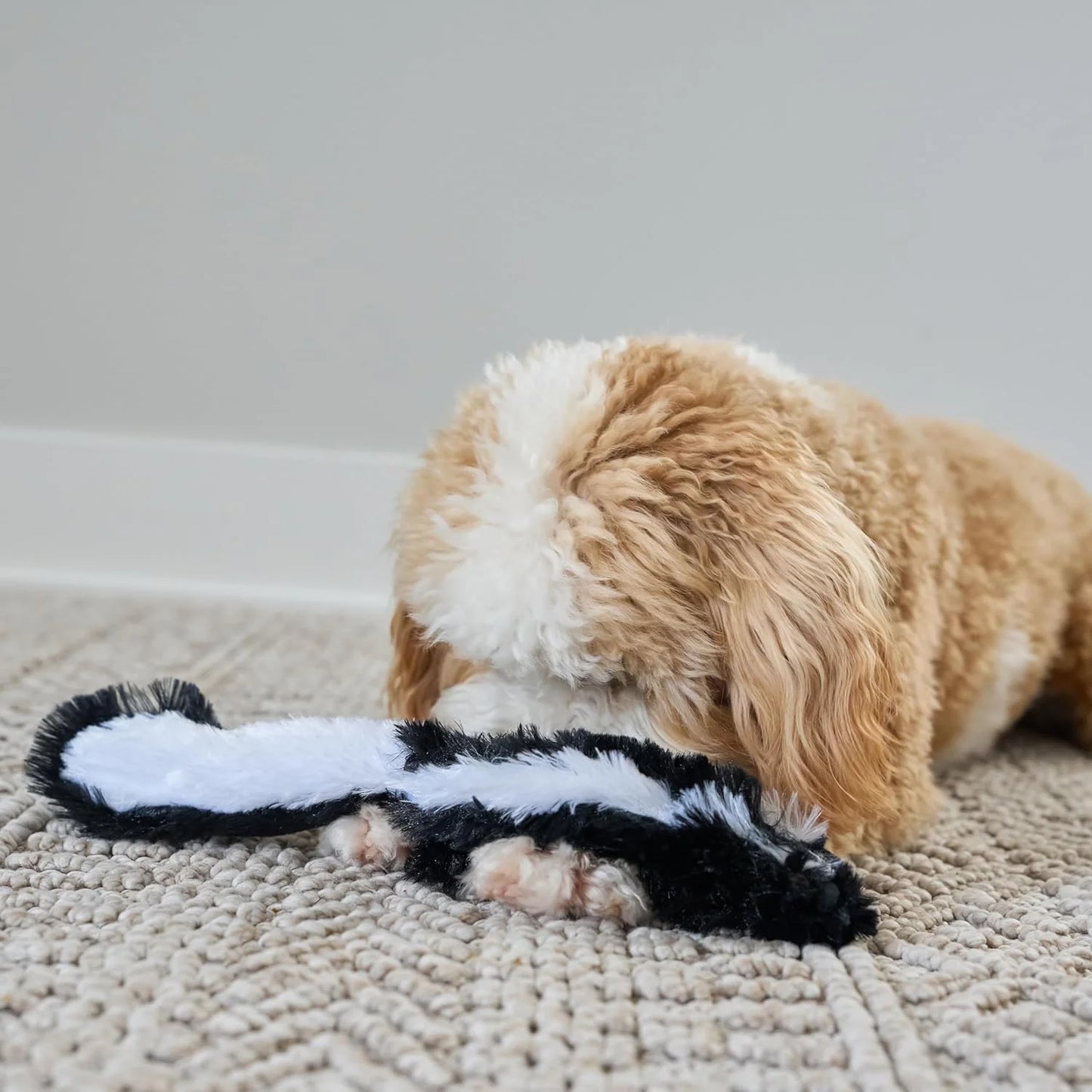 Skinneeez Skunk 14 Inch Stuffing-Free Plush Squeaky Dog Toy – Soft Tug-Of-War Toy for Small and Medium Dogs – Mess-Free Interactive Chew Toy